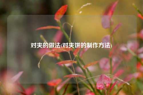 对夹的做法(对夹饼的制作方法)
