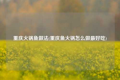 重庆火锅鱼做法(重庆鱼火锅怎么做最好吃)