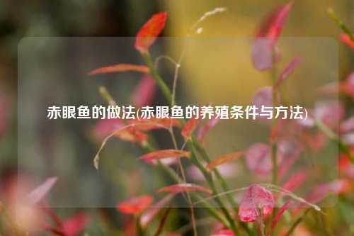 赤眼鱼的做法(赤眼鱼的养殖条件与方法)