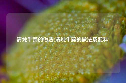 清炖牛蹄的做法(清炖牛蹄的做法及配料)