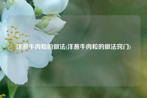 洋葱牛肉粒的做法(洋葱牛肉粒的做法窍门)