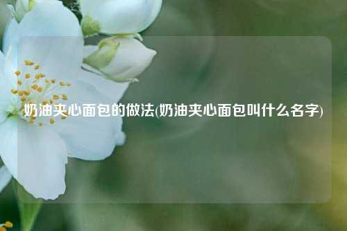 奶油夹心面包的做法(奶油夹心面包叫什么名字)