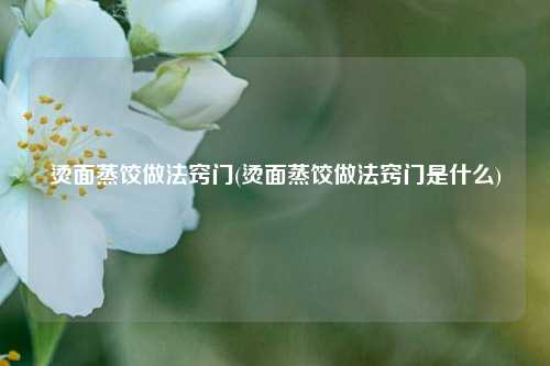 烫面蒸饺做法窍门(烫面蒸饺做法窍门是什么)