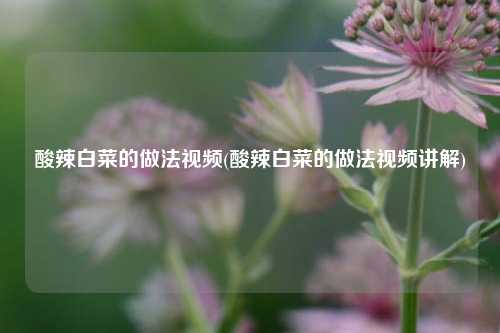 酸辣白菜的做法视频(酸辣白菜的做法视频讲解)