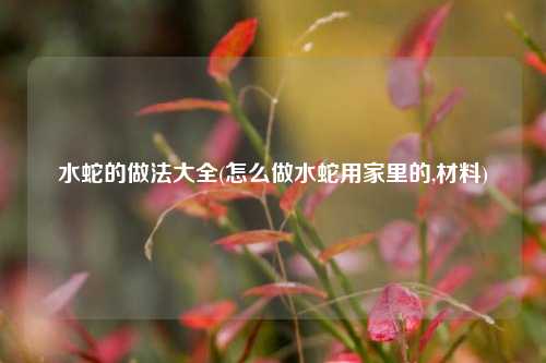 水蛇的做法大全(怎么做水蛇用家里的,材料)