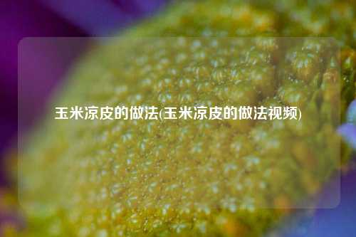 玉米凉皮的做法(玉米凉皮的做法视频)