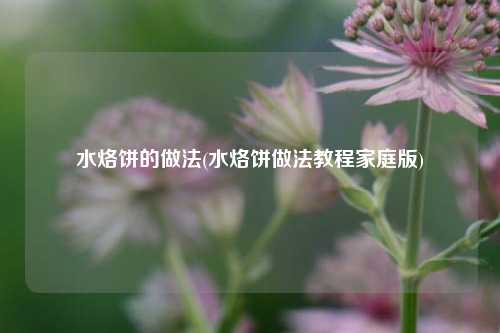 水烙饼的做法(水烙饼做法教程家庭版)