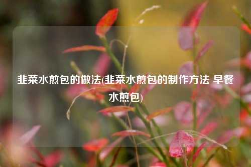 韭菜水煎包的做法(韭菜水煎包的制作方法 早餐水煎包)