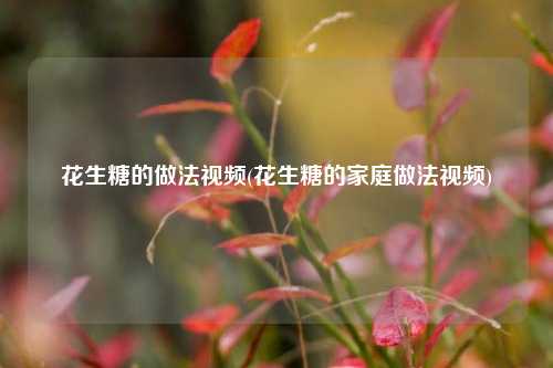 花生糖的做法视频(花生糖的家庭做法视频)