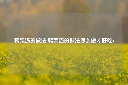 鸭架汤的做法(鸭架汤的做法怎么做才好吃)