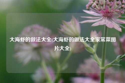 大海虾的做法大全(大海虾的做法大全家常菜图片大全)