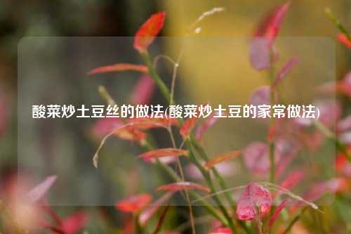 酸菜炒土豆丝的做法(酸菜炒土豆的家常做法)