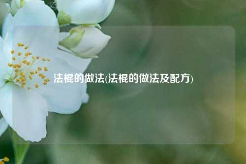 法棍的做法(法棍的做法及配方)