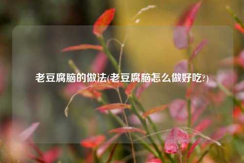 老豆腐脑的做法(老豆腐脑怎么做好吃?)