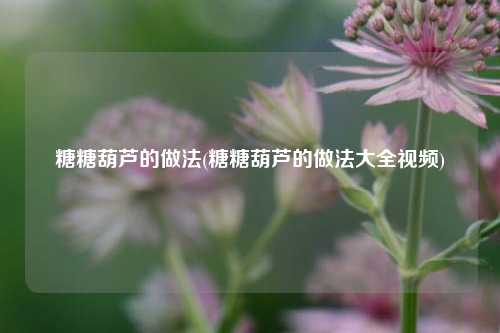 糖糖葫芦的做法(糖糖葫芦的做法大全视频)